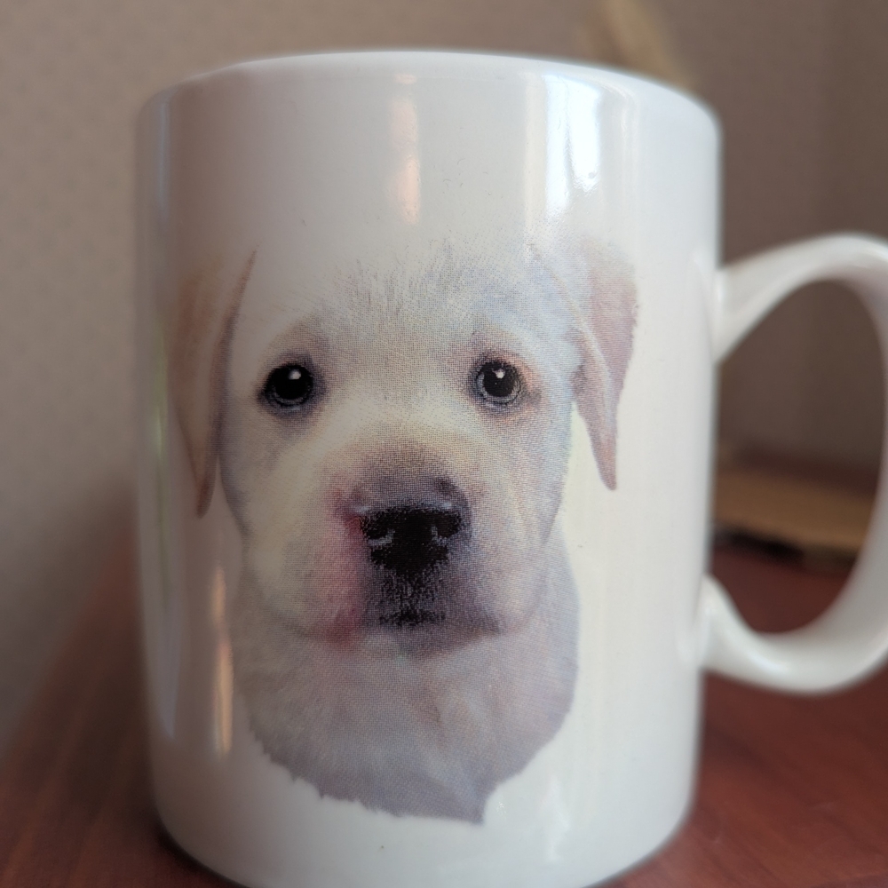 Yellow Labrador Adorable Puppy Mug - White